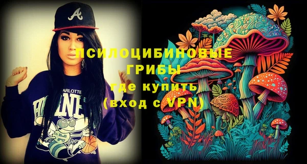 эйфоретик Кодинск
