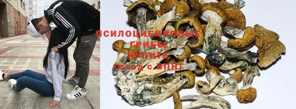 гидропоника Нестеровская