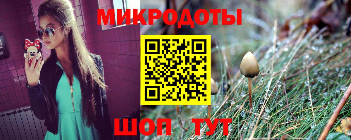 Галлюциногенные грибы MAGIC MUSHROOMS Чебаркуль